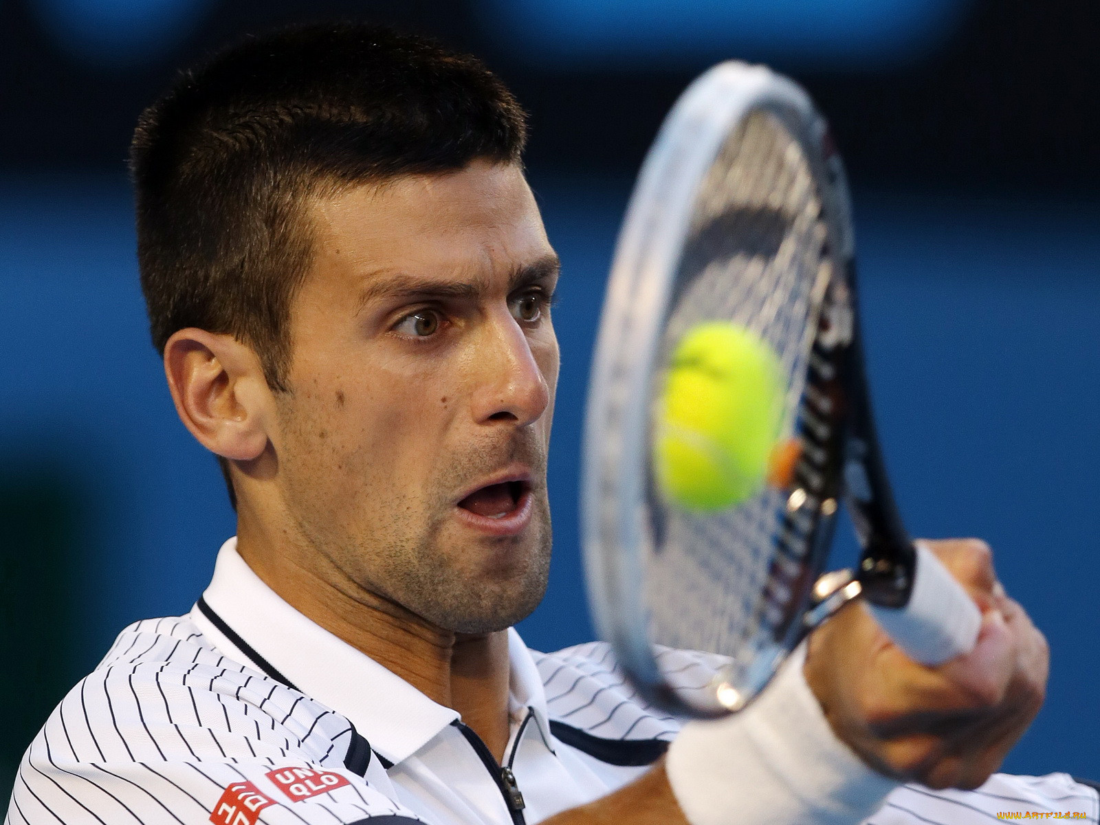, , novak, djokovic